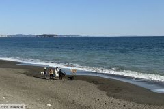 2024-03-22-15.24.03_s