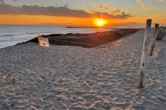 2025-12-05-16.18.44_s