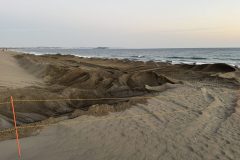 2025-12-08-16.41.12_s