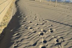 2026-01-11-15.49.58_s